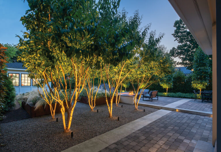 A row of Seven-son trees borders a walk to a patio framed by planters filled with perennials, herbs and ornamental grasses.