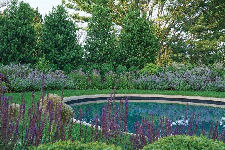 Viewed through layered plantings, an elliptical pool sits within a lawn panel and surrounding garden.