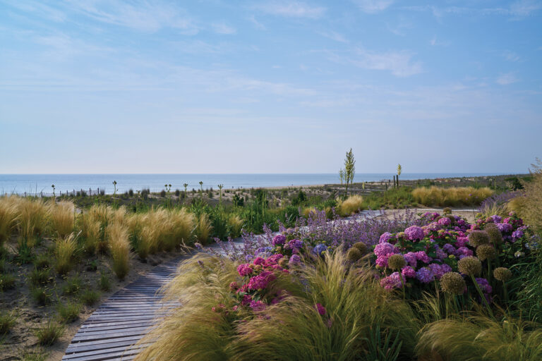 A teak boardwalk weaves through grasses, hydrangea and nepeta, which create a vibrant foreground to expansive ocean views.